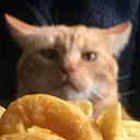naniiwutt Discord Emoji