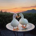 ducklove