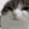Ohthemisery