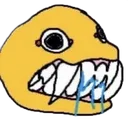 FASHS FASHS