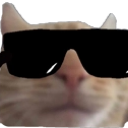 CoolShirocat CoolShirocat