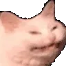 PKEcattoexcited