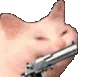 PKEcattoshoot