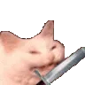 PKEcattoparry