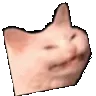 PKEcattovibing