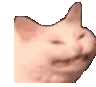 PKEcattoshake