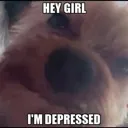 heygirl