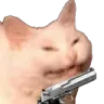 PKEcattogun