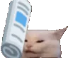 PKEsmackcatto
