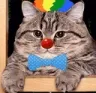 PKEclowncatto