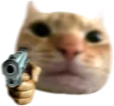 catgun