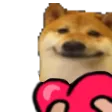 dogsmileLove