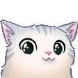 cutekittyuwu