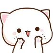 cat_paw