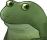 Concernedfrog Discord Emoji