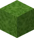 sod_block