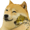 apdogehug