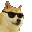 shiba_boss