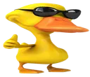pato