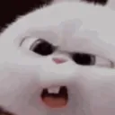__what __what