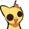 what_the