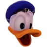 DUCK_POG