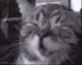 CATW