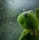 Depressin