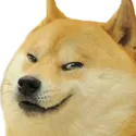 DogeSmirk DogeSmirk