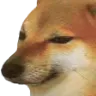 mj