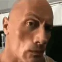 rocksus rocksus