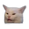 SCCwutcat Discord Emoji