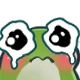 frog_longlanh Discord emoji