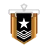 Bronze