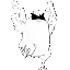CSMBuckyDance