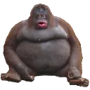 MonkeFat