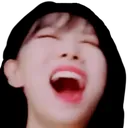 DongieKEK