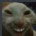 TOE Discord emoji