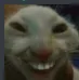 TOE