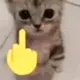 catfinger catfinger