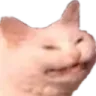 catto