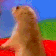 DramaticChipmunk