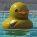 Duk