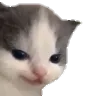 csmirk