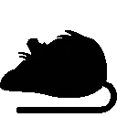 rat_Skyrim rat_Skyrim
