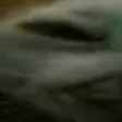 xdd1