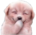 doggie Discord emoji