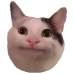 catwhoisdone