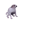 DogDance DogDance