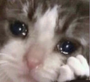 IMG_7862 Discord emoji